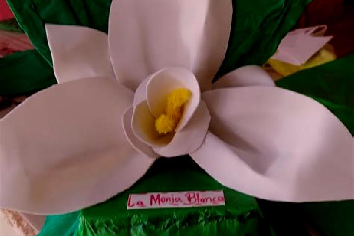 Luna, 30 — Escort in Flor Blanca, Mexico