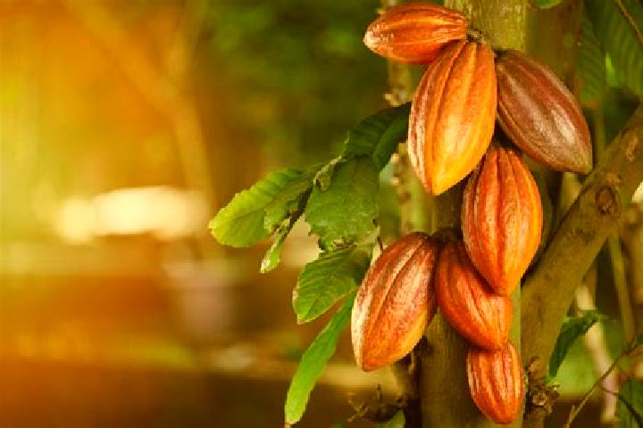 Luna, 30 — Escort in Flor de Cacao, Mexico