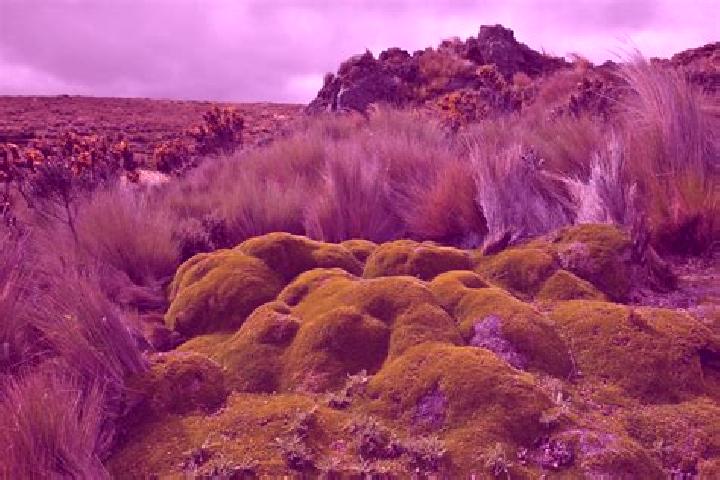 Luna, 30 — Escort in O Paramo, Spain