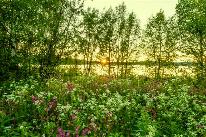 Luna, 30 — Escort in Sandhult, Sweden