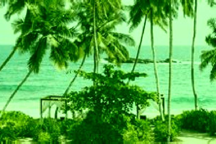 Luna, 31 — Escort in Tangalle, Sri Lanka