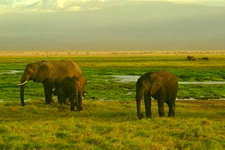 Luna, 31 — Escort in Upper Gilgil, Kenya