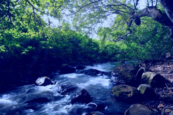 Luna, 31 — Escort in Usa River, Tanzania