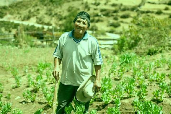 Luna, 32 — Escort in Jarpa, Peru