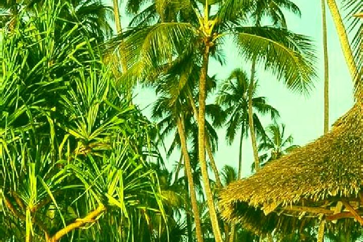 Luna, 32 — Escort in Matui, Tanzania