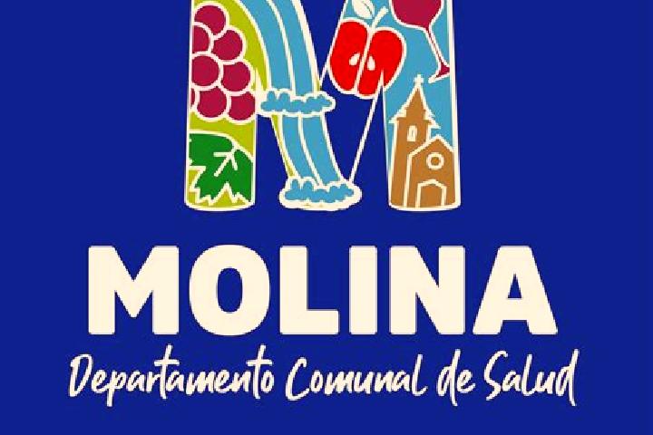 Luna, 32 — Escort in Molina, Chile