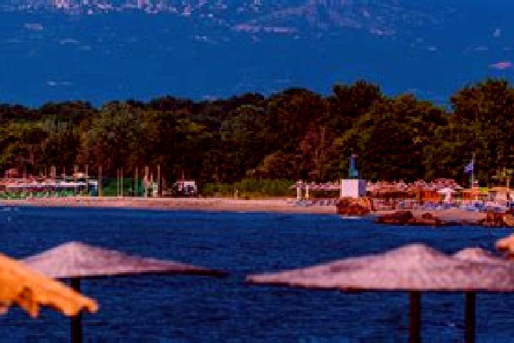 Luna, 32 — Escort in Stomio, Greece