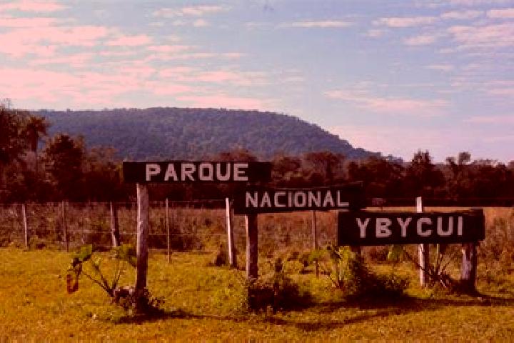 Luna, 32 — Escort in Ybycui, Paraguay