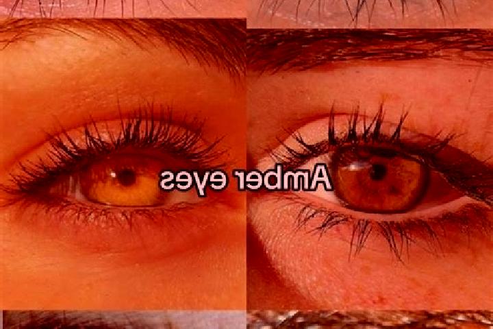Luna, 33, a chestnut amber-eyed middle eastern companion based in Paracale. Offering Massage, Dinner Date, Striptease. Available for incall and outcall, over...
