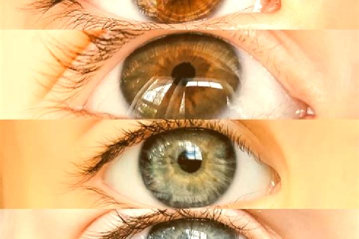 Luna, 33, a chestnut grey-eyed mixed companion based in Asola. Offering A-Level, Travel Companion, Deep French Kissing, Prostate Massage. Available for incal...