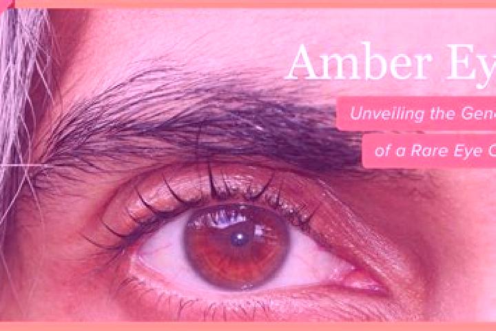 Luna, 33, a red amber-eyed middle eastern companion based in Rosmeer. Offering Domination, BDSM, Striptease. Available for incall and outcall, overnight book...