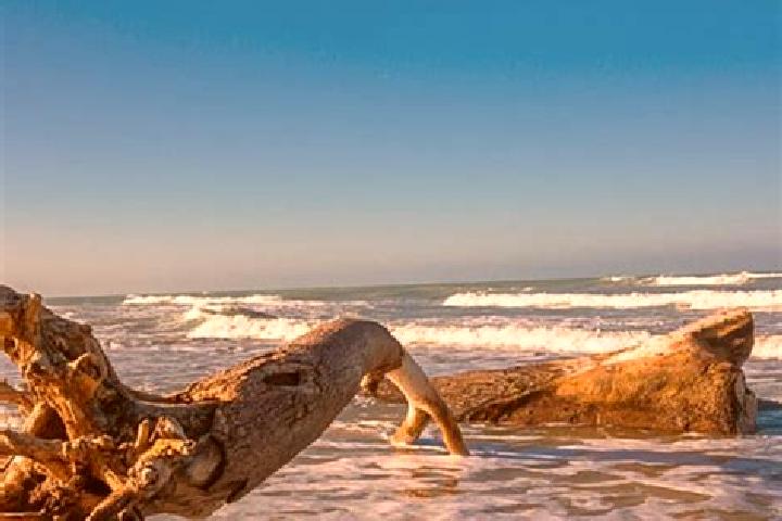 Luna, 34 — Escort in Barra del Tordo, Mexico
