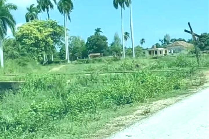 Luna, 34 — Escort in Corralillo, Cuba