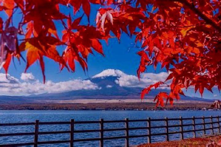 Luna, 34 — Escort in Kuroiso, Japan