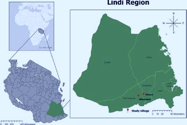 Luna, 34 — Escort in Lindi, Tanzania
