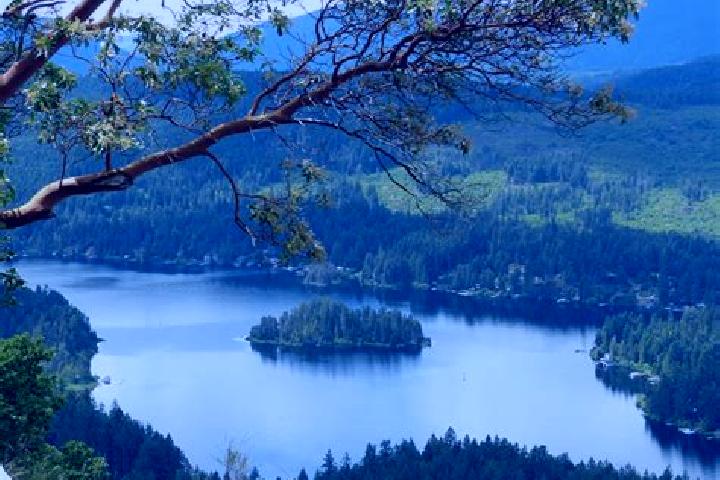 Luna, 34 — Escort in Shawnigan Lake, Canada