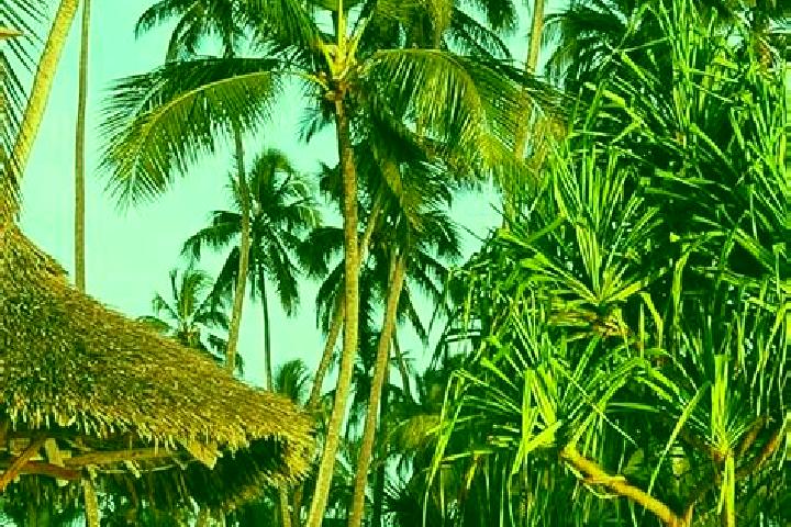 Luna, 35 — Escort in Gamba, Tanzania