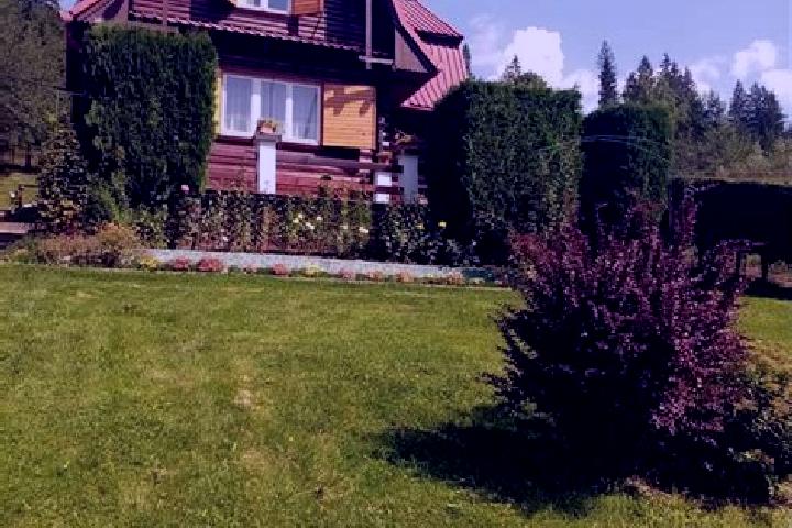 Luna, 35 — Escort in Lunca Bradului, Romania