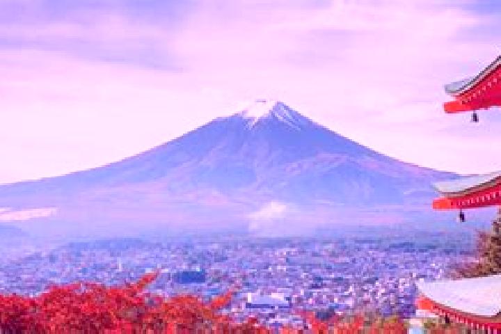 Luna, 35 — Escort in Shimizu, Japan