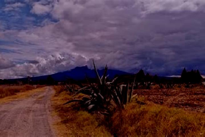 Luna, 36 — Escort in La Magdalena Tlaltelulco, Mexico