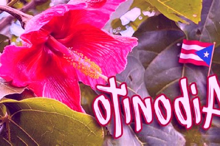 Luna, 37 — Escort in Aibonito, Puerto Rico