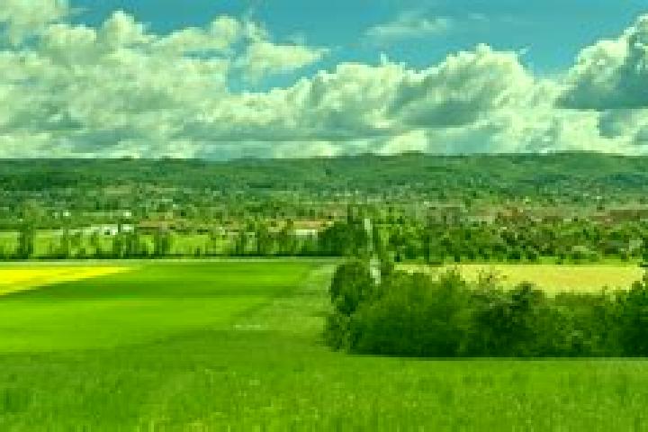 Luna, 37 — Escort in Graefenhainichen, Germany