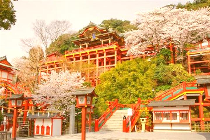 Luna, 37 — Escort in Saga, Japan