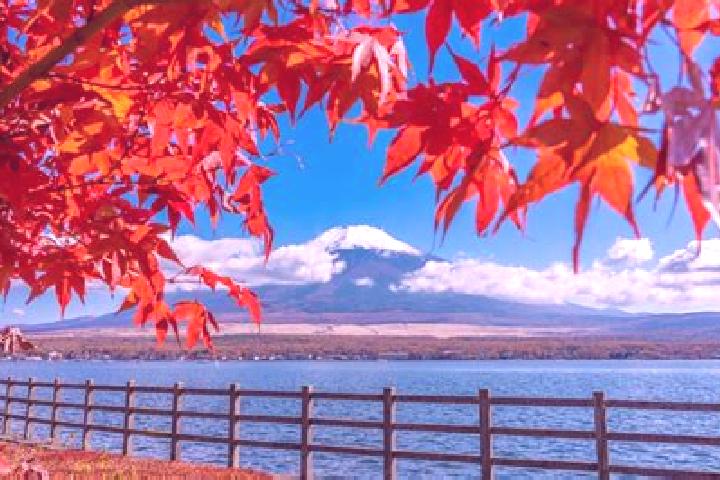 Luna, 37 — Escort in Saiku, Japan