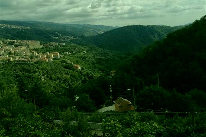 Luna, 37 — Escort in Sorbo San Basile, Italy