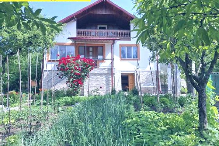 Luna, 37 — Escort in Valenii Lapusului, Romania