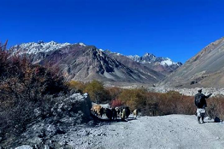 Luna, 37 — Escort in Ziarat, Pakistan