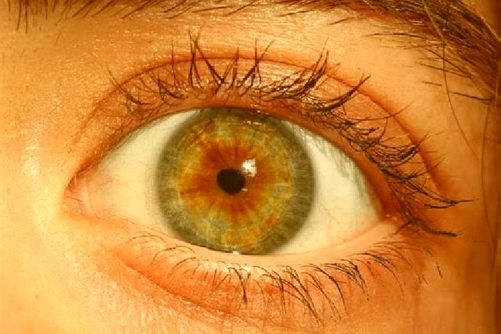 Luna, 38, a red hazel-eyed middle eastern companion based in El Palmar. Offering Overnight, Party Girl, Domination. Available for incall and outcall, day and...