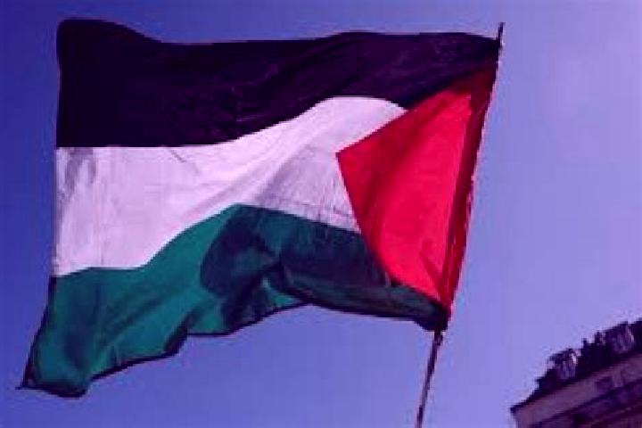Luna, 38 — Escort in Az Zubaydat, Palestine