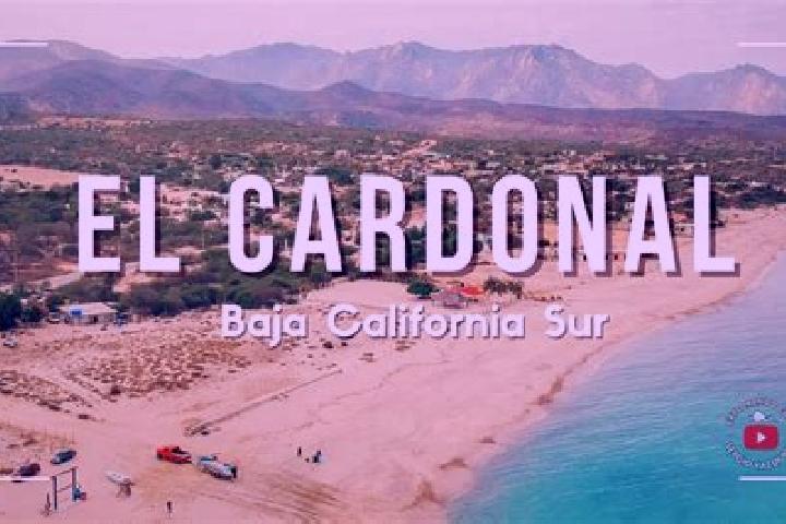 Luna, 38 — Escort in Cardonal, Mexico