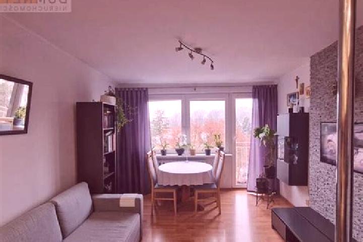 Luna, 38 — Escort in Grodzisk, Poland