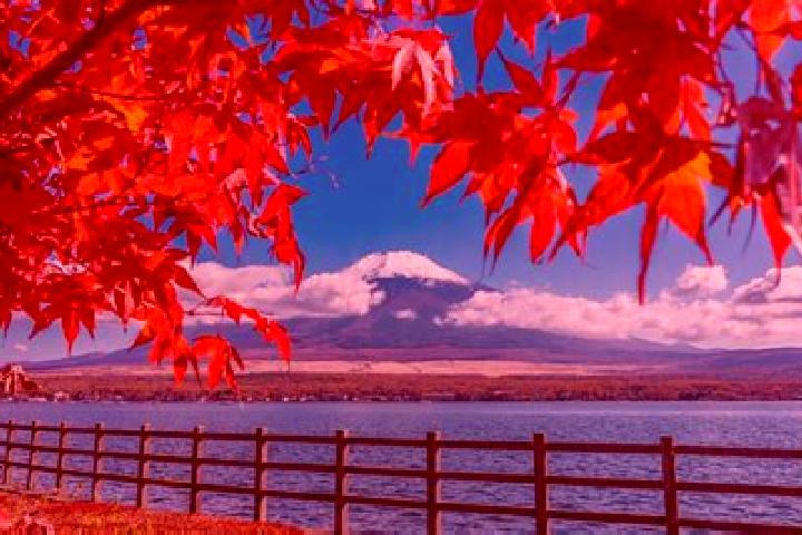 Luna, 38 — Escort in Mashike, Japan