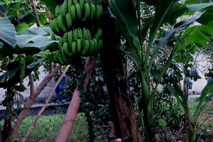 Luna, 38 — Escort in Mata de Platano, Mexico