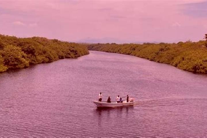Luna, 39 — Escort in Agua Santa Ana, Mexico