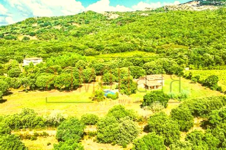 Luna, 39 — Escort in Calangianus, Italy