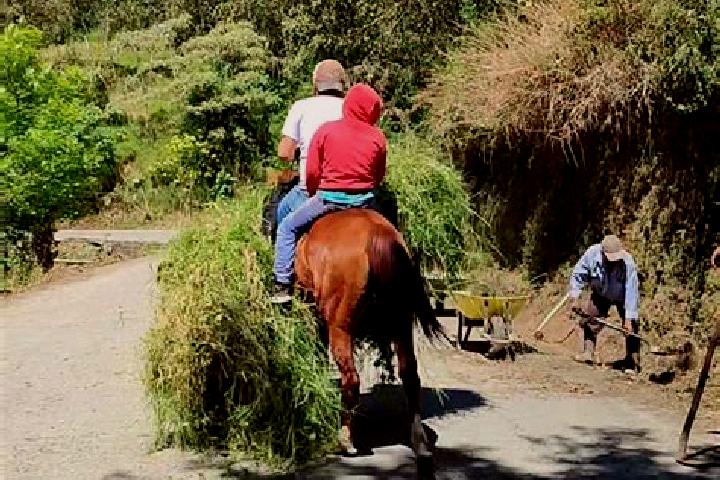 Luna, 39 — Escort in Huixtla, Mexico