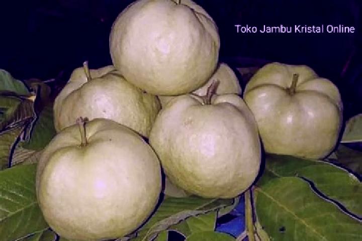 Luna, 39 — Escort in Jambu, Indonesia