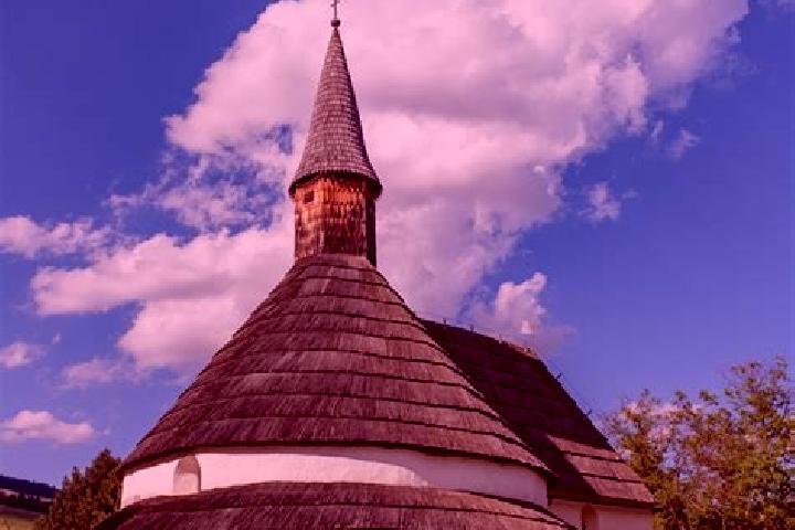 Luna, 39 — Escort in Muta, Slovenia