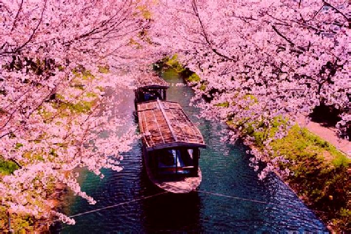 Luna, 39 — Escort in Nishiwaki, Japan