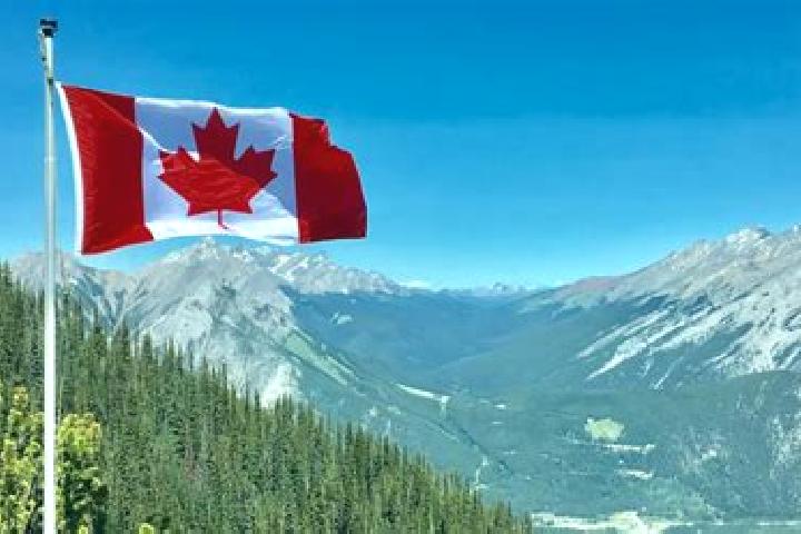 Luna, 39 — Escort in Saumarez, Canada