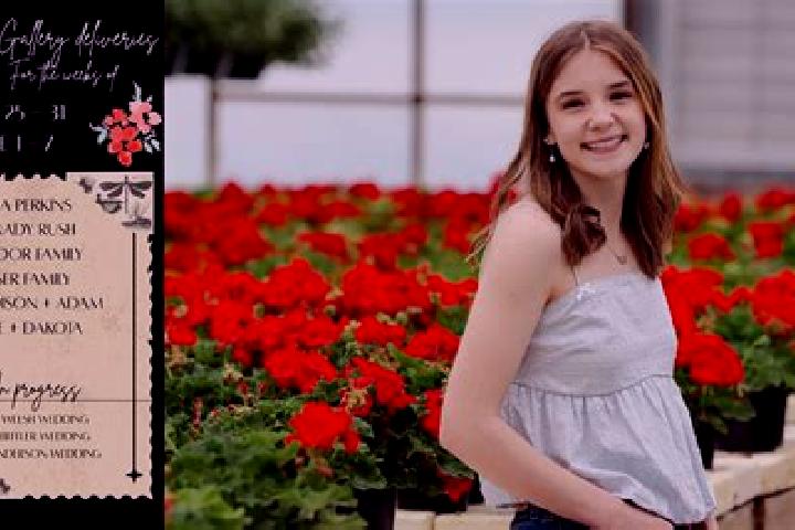 Madison, 20 — Escort in Alancik, Turkey