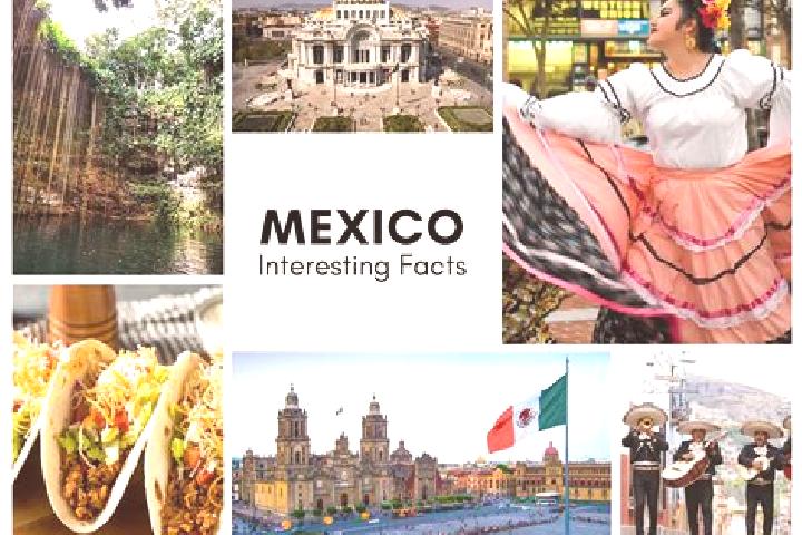 Madison, 20 — Escort in Apango, Mexico