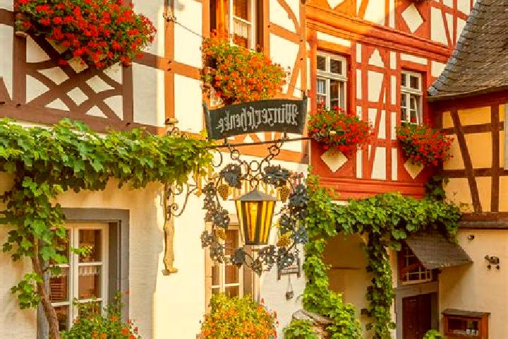 Madison, 20 — Escort in Elpersbuttel, Germany