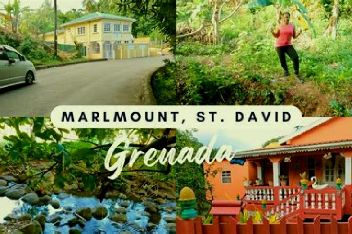 Madison, 20 — Escort in Grenada Village, New Zealand
