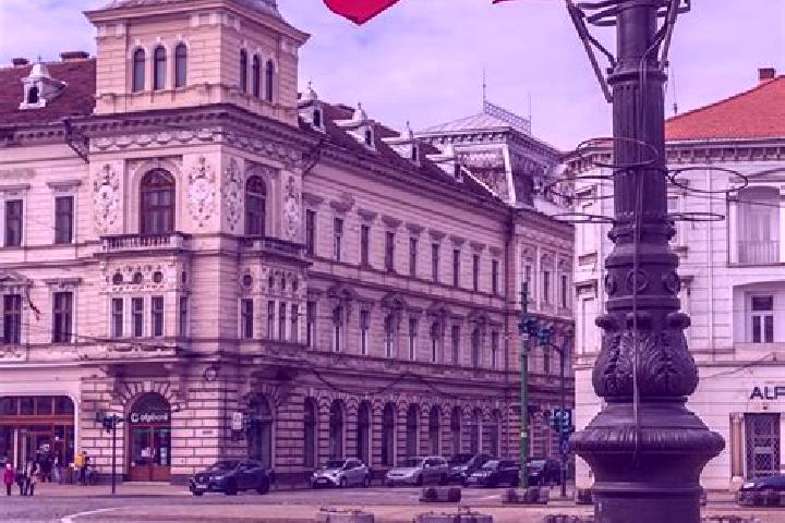 Madison, 20 — Escort in Hutani, Romania