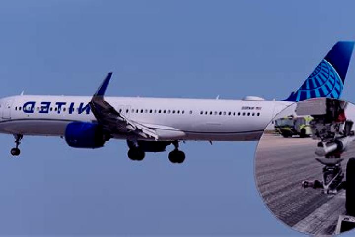 Madison, 20 — Escort in Landing, United States